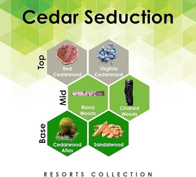 Aroma Retail Fragrance Oil Refill for Scent Machine Aroma Diffuser (27 fl oz Cedar Seduction)