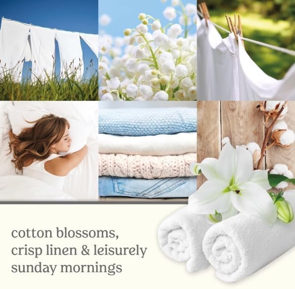 Yankee Candle Scent Plug Refill Clean Cotton (Pack of 6)