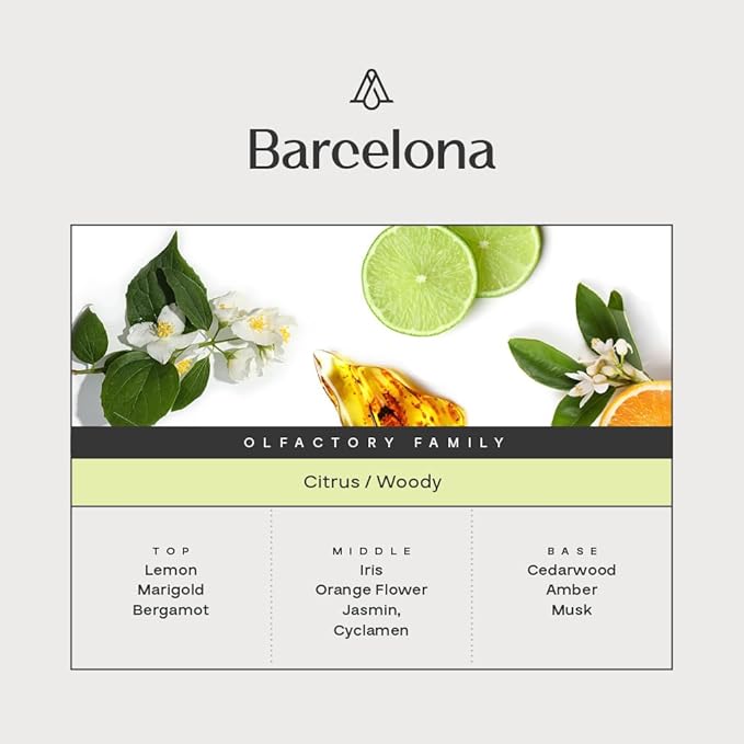AromaPlan Hotel Home Luxury Scents Barcelona 5.07 Fl Oz (150ml) | Fragrance for Cold Air &amp Waterless Diffuser Oil | Home Luxury &amp Hotel Scent for Aromatherapy-USA MadeBigger Bottle &amp Lo