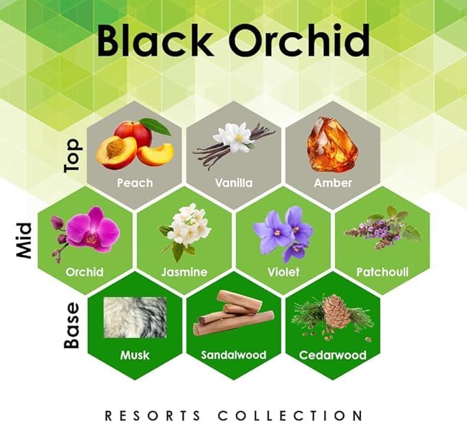 Aroma Retail Fragrance Oil Refill for Scent Machine Aroma Diffuser (27 fl oz Black Orchid)