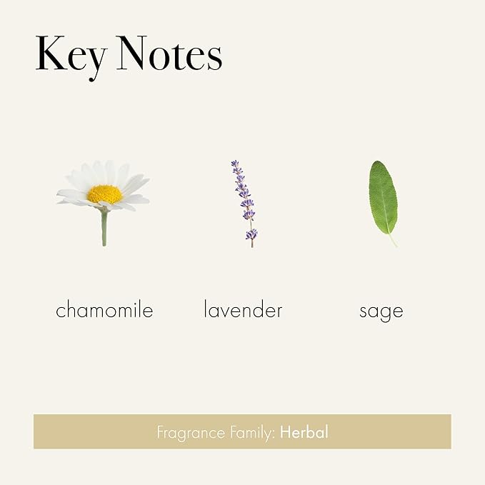 LAFCO New York Signature Reed Diffuser Chamomile Lavender - 15 oz - Up to 9 Months Fragrance Life - Reusable Hand Blown Glass Vessel - Natural Wood Reeds - Made in The USA