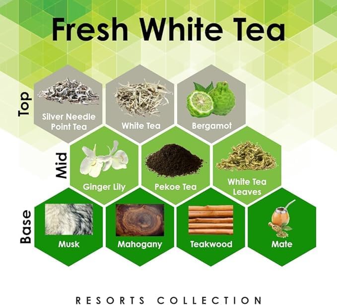 Aroma Retail Fragrance Oil Refill for Scent Machine Aroma Diffuser (4 fl oz Fresh White Tea)