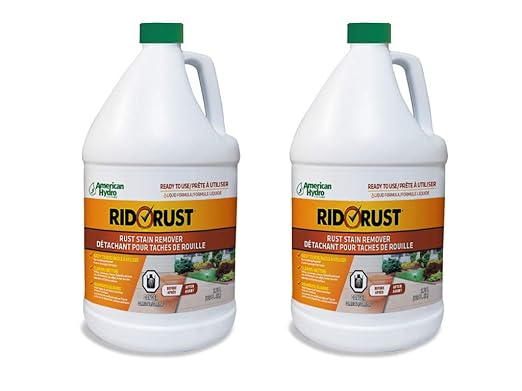 American Hydro Systems 2662 Rid O' Rust Liquid Rust Stain Remover 1 Gallon 2 Pack