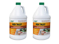 American Hydro Systems 2662 Rid O' Rust Liquid Rust Stain Remover 1 Gallon 2 Pack