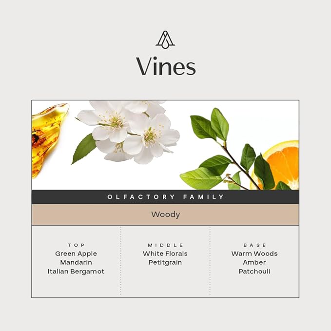 AromaPlan Hotel Home Luxury Scents Vines 5.07 Fl Oz (150ml) | Fragrance for Cold Air &amp Waterless Diffuser Oil | Home Luxury &amp Hotel Scent for Aromatherapy- USA Made Bigger Bottle &amp Long