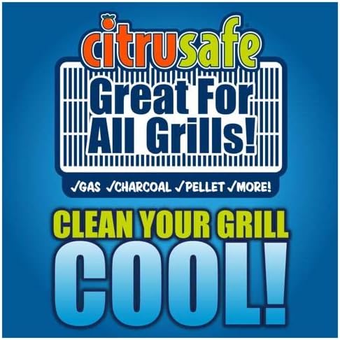 Critusafe+Bryson+Industries+3100002+BBQ+Grill+Cleaner%2c+23-oz.+-+Quantity+121212