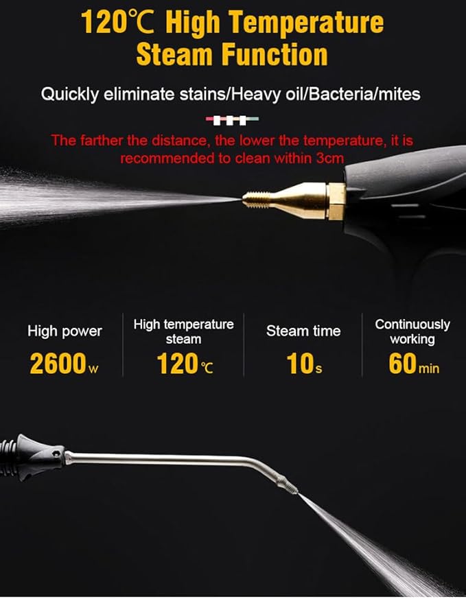 Wet and Dry 2 in 1 Multi-purpose Handheld Powerful Steam Cleaner Portable (Black)
