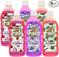 HOUSE OF FAB! Powerful All Purpose Cleaner Dirt &amp Grime Removing Multi Purpose Cleaner Used for Floors Walls and Any Hard Surface Used on Large Areas 33.8 FL Oz 6 Pack Fruity
