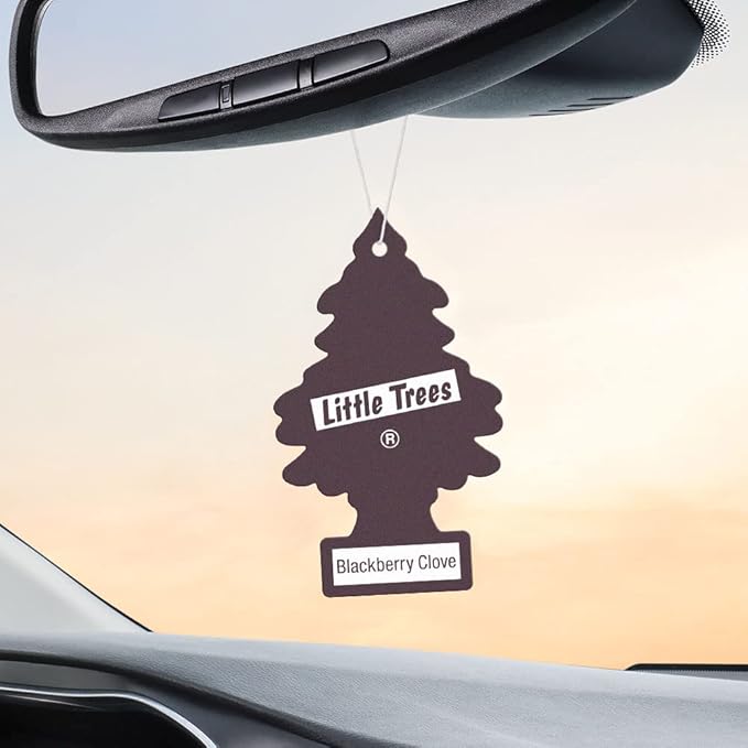 LITTLE TREES Car Air Freshener. Hanging Tree Provides Long Lasting Scent for Auto or Home. Blackberry Clove 24 Air Fresheners (Pack of 6)