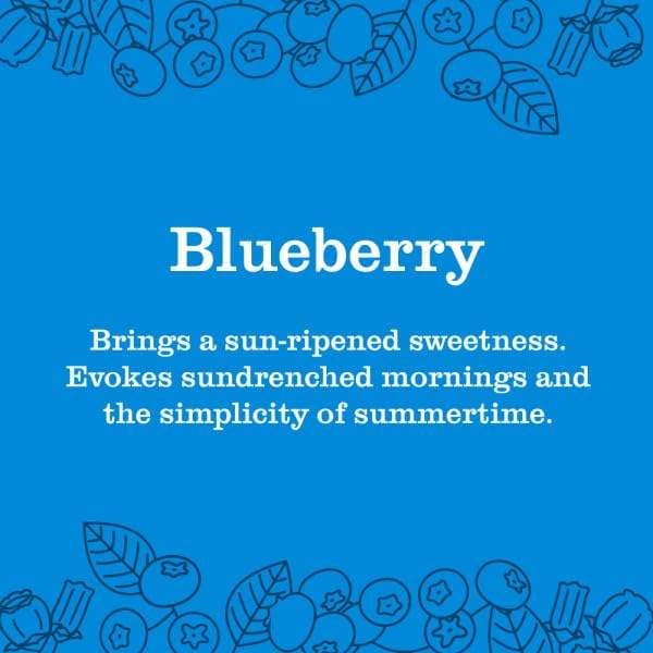 Mrs. Meyer’s Clean Day Room Freshener Blueberry 8 Fl Oz (Pack of 6)