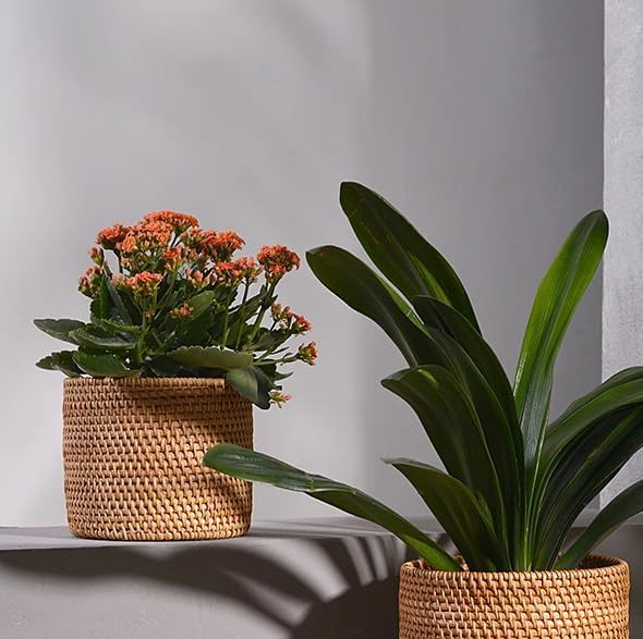 I-LAN Table Wicker Mini Trash CansBoho Rattan Desktop Storage BinRattan Cutlery Container HolderHome Decor Flower Pot Cover for Indoor Planter6.7x6.7x6