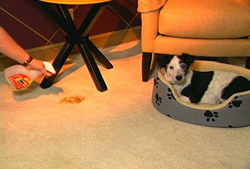 OVERSTOCK ITEM! Quick 10 (Carpet Clothing Upholstery &amp Pet Stain Remover) Includes 2 32 oz. bottles and 4 powder packets!! Get 2 kits for the price of 1.5!