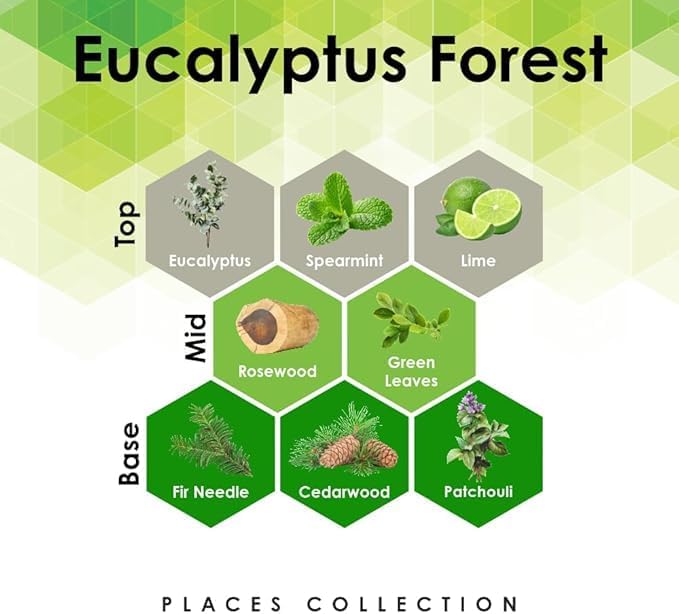 Aroma Retail Fragrance Oil Refill for Scent Machine Aroma Diffuser (27 fl oz Eucalyptus Forest)