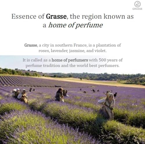 Bullsone Diffuser Natural Home Car Incense Air Freshener Refills Luxury Home Car Perfume including 5 refills - Aqua De Blue
