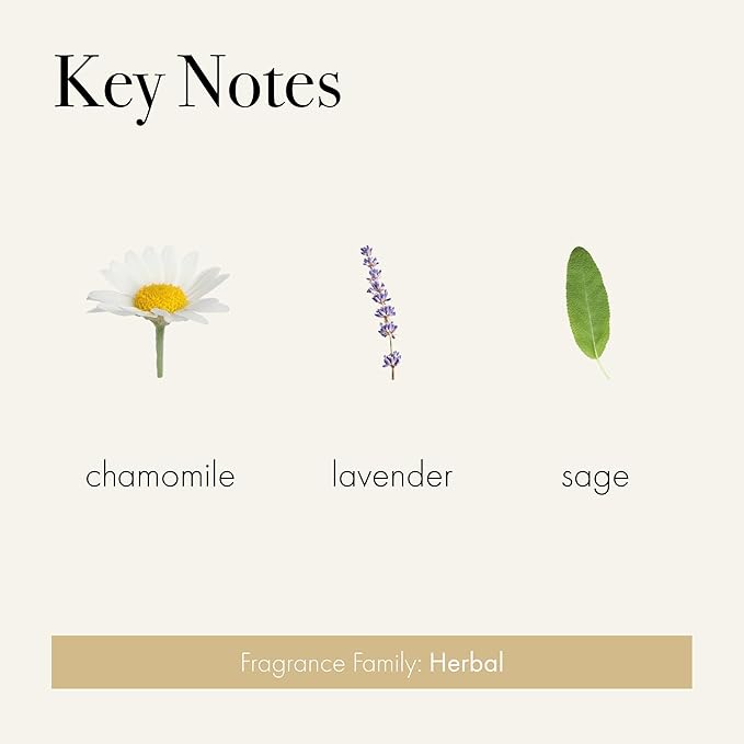 LAFCO New York Pura Car Smart Diffuser Refill Chamomile Lavender - 30-Day Scent - Free of Parabens &amp Phthalates - Cruelty Free