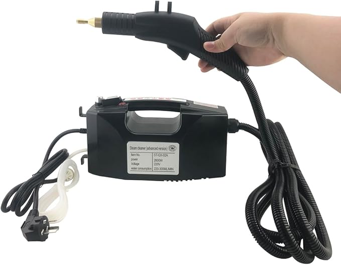 Wet and Dry 2 in 1 Multi-purpose Handheld Powerful Steam Cleaner Portable (Black)