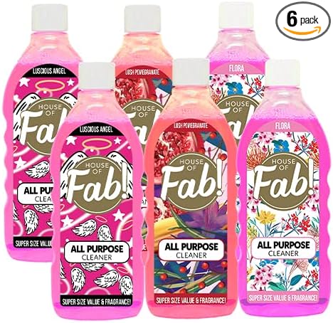 HOUSE OF FAB! Powerful All Purpose Cleaner Dirt &amp Grime Removing Multi Purpose Cleaner Used for Floors Walls and Any Hard Surface Used on Large Areas 33.8 FL Oz 6 Pack Designer