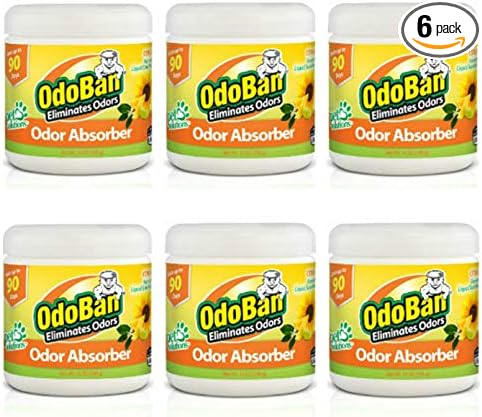 OdoBan Solid Odor Absorber Eliminator for Home and Small Spaces Citrus Scent 14 Ounces Each 6-Pack