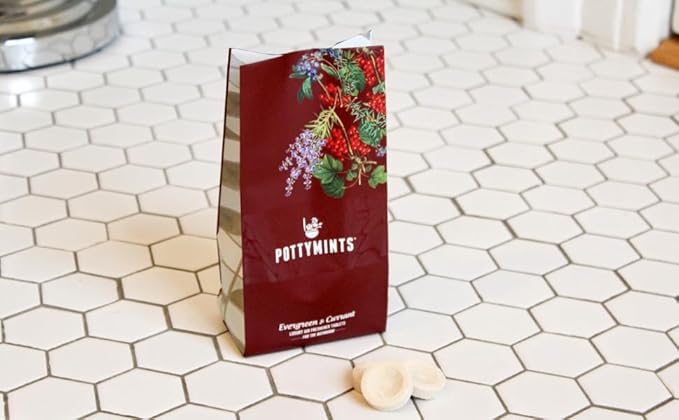 Potty Mints Dissolvable Air Freshener Toilet Tablets | Evergreen + Currant | Long-Lasting Non-Toxic | Made in The USA | Discreet Packaging Septic Safe | Travel Friendly (20 Bag)