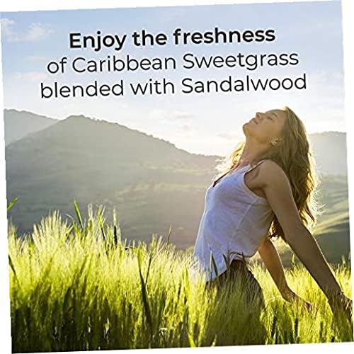 Air Wick Scented Oils 0+10 Sweetgrass &amp Sandalwood