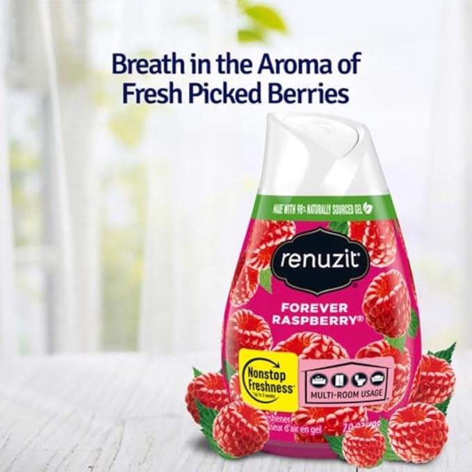 Renuzit Forever Raspberry Scent Air Freshener 7 oz. Gel - Case of: 4 Each Pack Qty: 3 Total Items Qty: 124