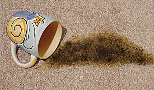 OVERSTOCK ITEM! Quick 10 (Carpet Clothing Upholstery &amp Pet Stain Remover) Includes 2 32 oz. bottles and 4 powder packets!! Get 2 kits for the price of 1.5!