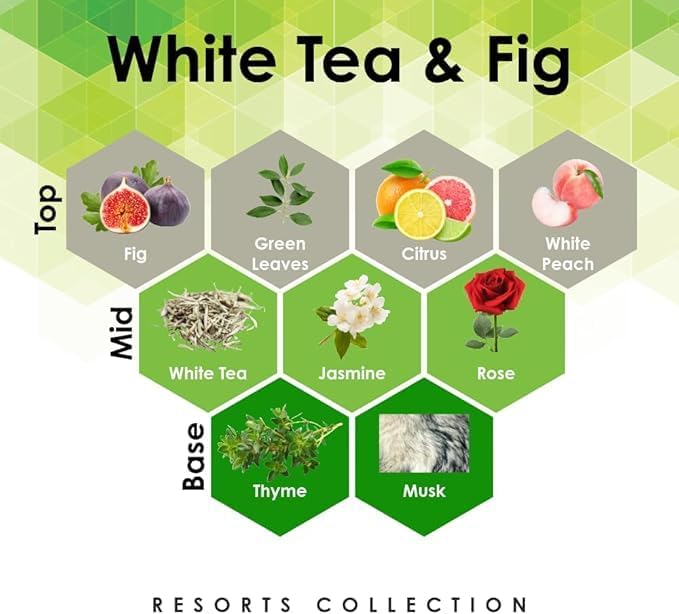 Aroma Retail Fragrance Oil Refill for Scent Machine Aroma Diffuser (4 fl oz White Tea Fig)