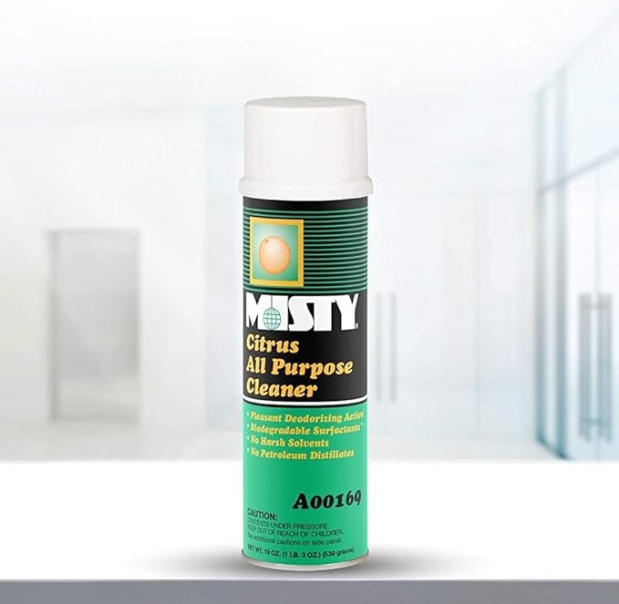 MISTY Citrus All-Purpose Cleaner - 19 oz (Case of 12) 1001583 - Biodegradable Aerosol For Indoor and Outdoor Use Fresh Citrus Scent