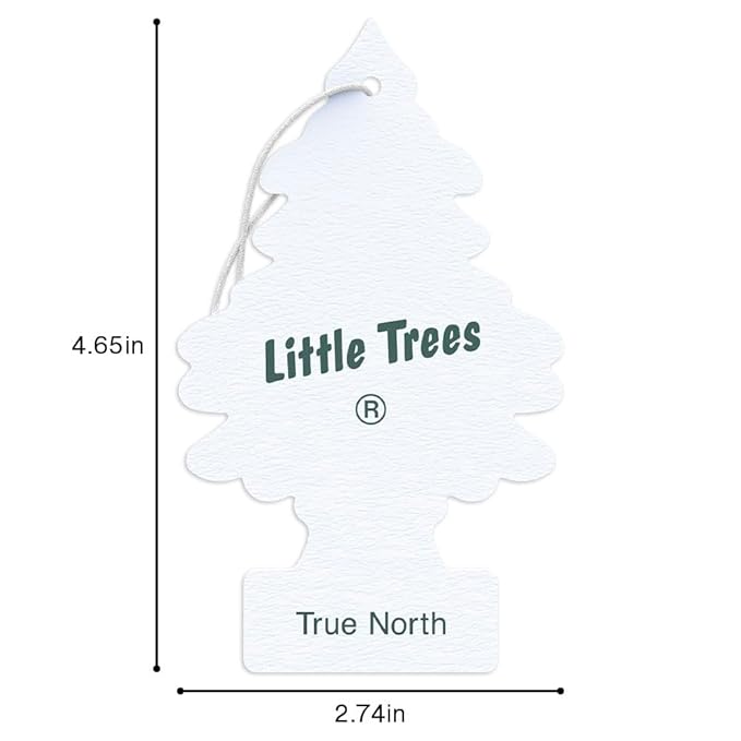 LITTLE TREES Car Air Freshener | Hanging Tree Provides Long Lasting Scent for Auto and Home | 24 Air Fresheners |True North