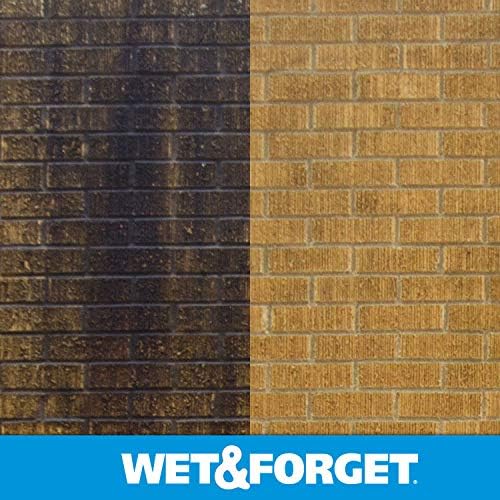 Wet &amp Forget Moss Mold Mildew &amp Algae Stain Remover Multi-Surface Outdoor Cleaner Concentrate Original 64 Fluid Ounces (2 Pack)