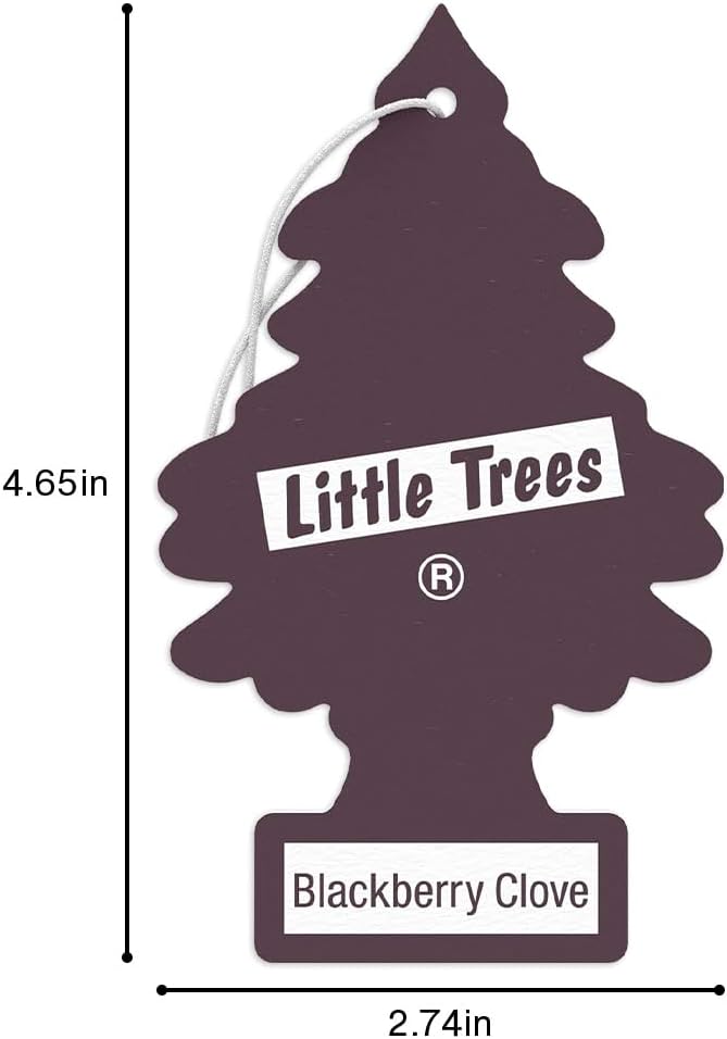LITTLE TREES Car Air Freshener. Hanging Tree Provides Long Lasting Scent for Auto or Home. Blackberry Clove 24 Air Fresheners (Pack of 6)