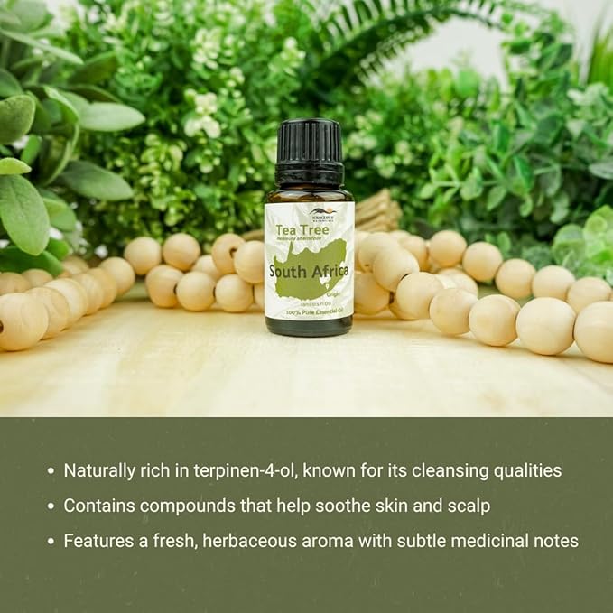 Tea Tree Essential Oil - Direct from Kwazulu Botanicals South Africa - Steam Distilled - Aceite Esencial de Árbol de Té for Aromatherapy Diffuser DIY Candle and Soap Making - 2lbs