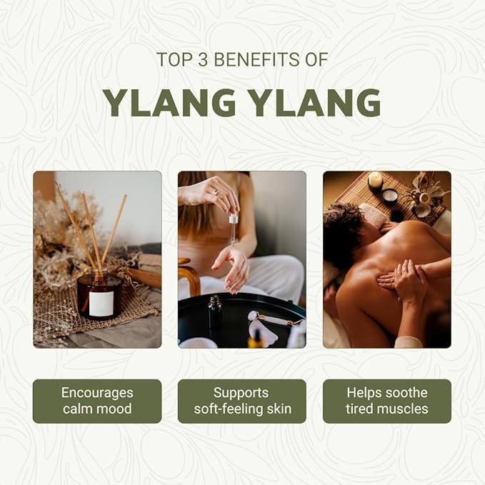 Ylang Ylang Essential Oil - Direct from Malagassi Essential Oils Madagascar - Steam Distilled - Aceite de Ylang Ylang for Aromatherapy Diffuser DIY Candle and Soap Making - 2lbs