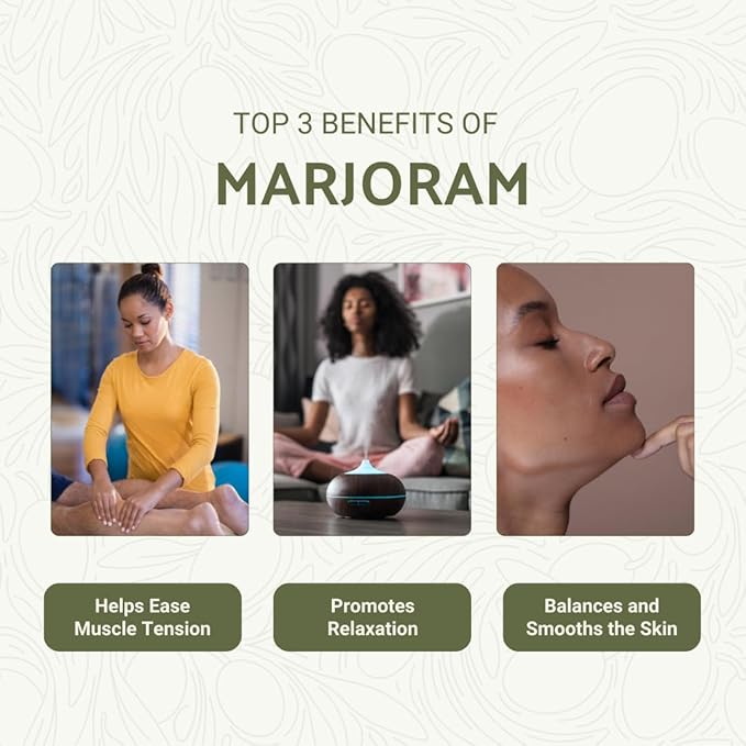 Marjoram Essential Oil - Direct from Al Sheikh for Export Egypt - Steam Distilled - Aceite de Mejorana for Aromatherapy Massage Diffuser DIY Candle and Soap Making - 2lbs