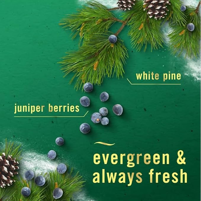 F.e.b.r.e.z.e Plug In Air Freshener Odor-Fighting Scented Oil Mix 3 Refill (Holiday Mix)