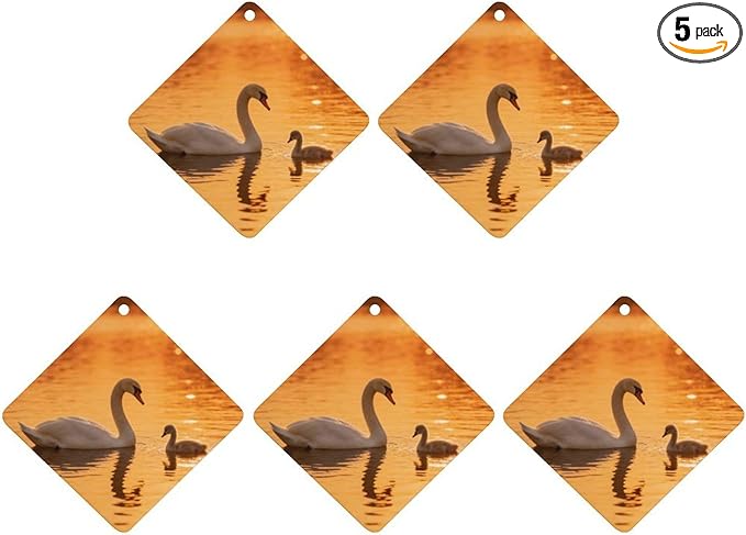 5PCS Car Air Freshener Hanging Personalized Double Sided Swan Cygnets Car Fresheners Long Lasting New Cars Scents Cute Automotive Freshies for Closets Drawers (tea)