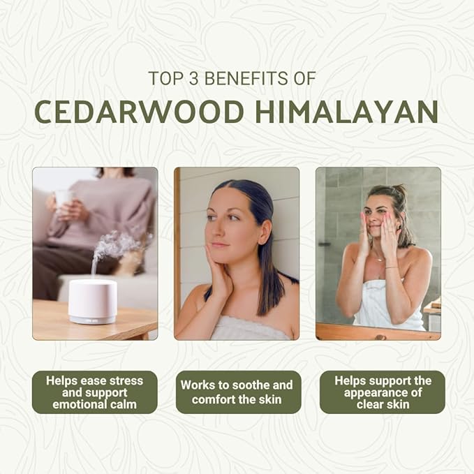 Cedarwood Himalayan Essential Oil - 100% Pure Steam Distilled Natural Cedarwood Himalayan Oil (Aceite de Cedro) from Natural Biotech NBT India for Aromatherapy &amp DIY Projects - 8oz