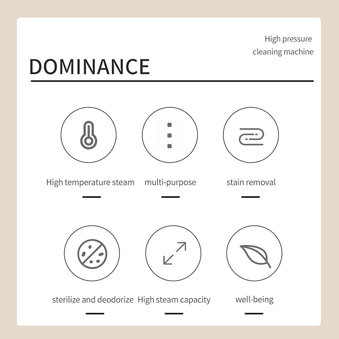 High Temperature Handheld Steam Cleaner for Home Cleaning Machine with 9 Accessories (US Plug 110v)