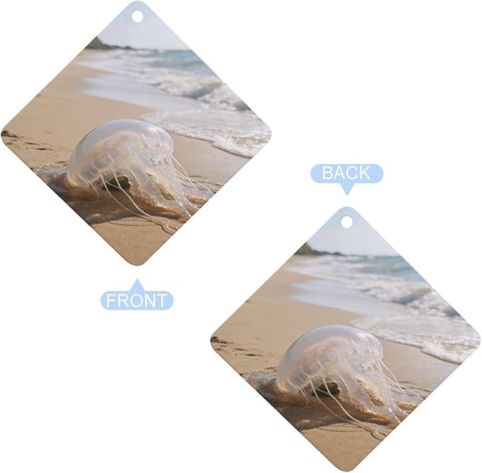 5PCS Car Air Freshener Hanging Personalized Double Sided Transparent Beach Car Fresheners Long Lasting New Cars Scents Cute Automotive Freshies for Closets Drawers (tea)