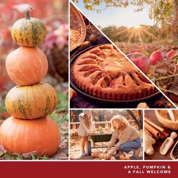 Yankee Candle Apple Pumpkin Electric Home Fragrance Scent Plug Refill (Pack of 4)