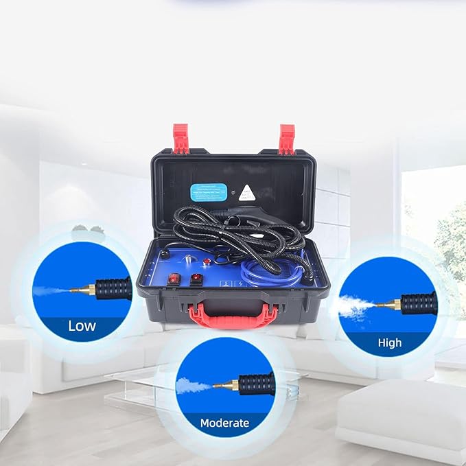 WZFANJIJ Handheld Steam Cleaner steam Cleaner for car Portable High Temperature Multifunction Steam Cleaning Machine for Most Floors Counters Windows Car Seats220v#3000w