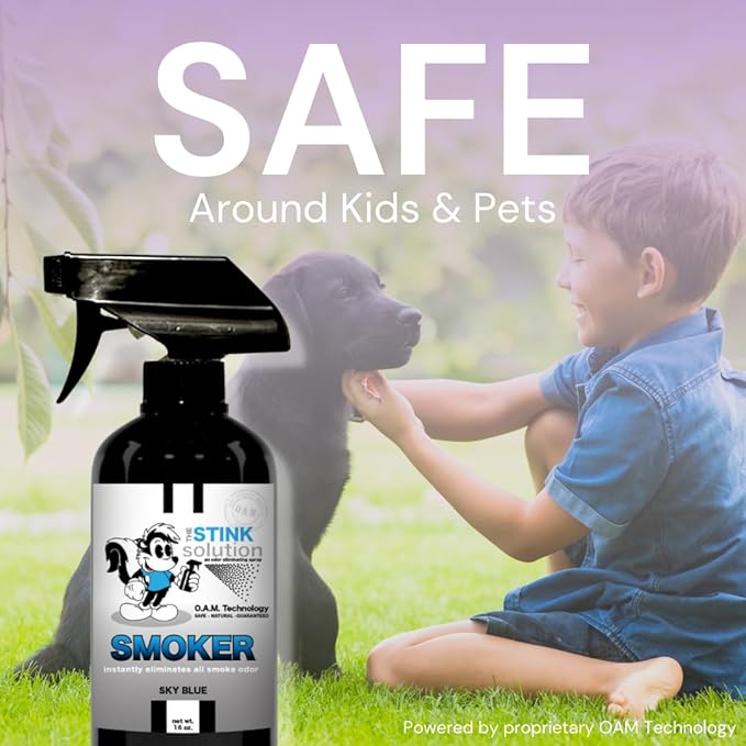 The Stink Solution Smoke Odor Eliminator Spray - Completely Remove Smoke Smell From House Car Clothes Hair &amp More - Best Odor Eliminator For Smoke - Bamboo Teak Sky Blue &amp Unscented 4 oz