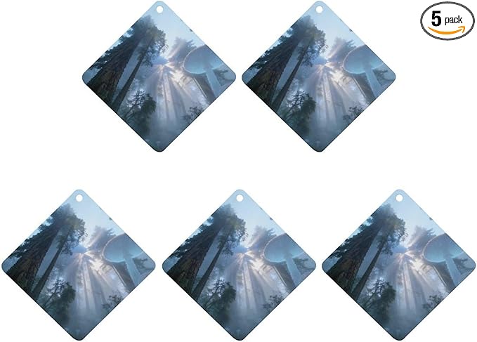 5PCS Car Air Freshener Hanging Personalized Double Sided Tropical Rainforest Car Fresheners Long Lasting New Cars Scents Cute Automotive Freshies for Closets Drawers (tea)