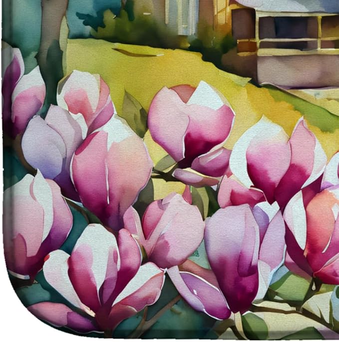 Caroline's Treasures DAC1661DDM Louisiana Magnolias in Watercolor Dish Drying Mat Absorbent Dish Drying Mat Pad for Kitchen Counter Dish Drainer Mat for Countertop 14 x 21 Multicolor