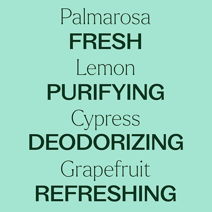 Plant Therapy Deodorizing Powder 16 oz &amp Deodorizing Room Spray 4 oz Quick On-The-Go Freshness Safe &amp Gentle for Everyday Use Free from Harsh Chemicals &amp Synthetic Fragrances