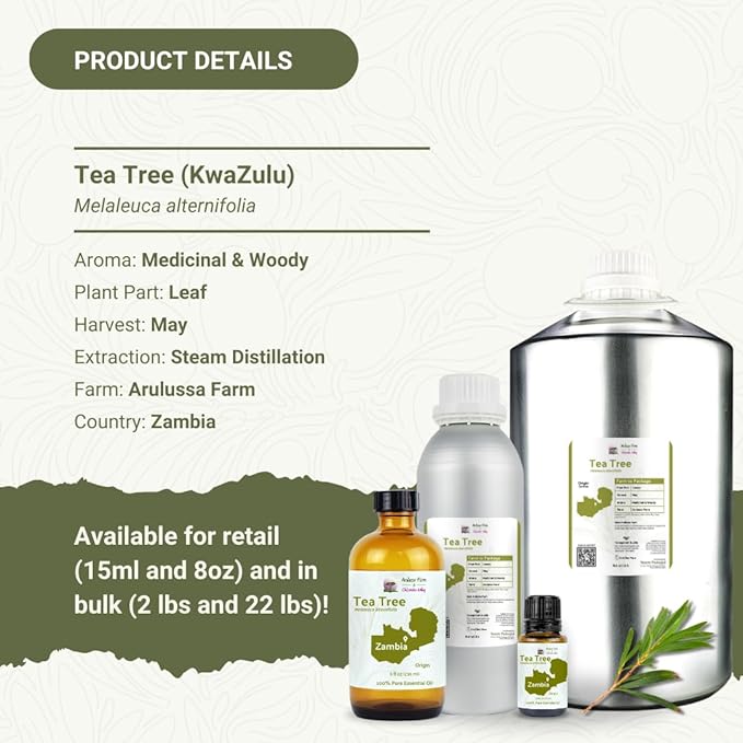 Tea Tree Essential Oil - Direct from Kwazulu Botanicals South Africa - Steam Distilled - Aceite Esencial de Árbol de Té for Aromatherapy Diffuser DIY Candle and Soap Making - 2lbs
