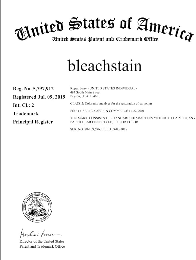 BLEACHSTAIN® Homeowner’s Carpet Spot Dye Kit™ | Restores Carpet Color | Repair Discoloration from Bleach Stains Acne medications or Chemical Marks and Spots
