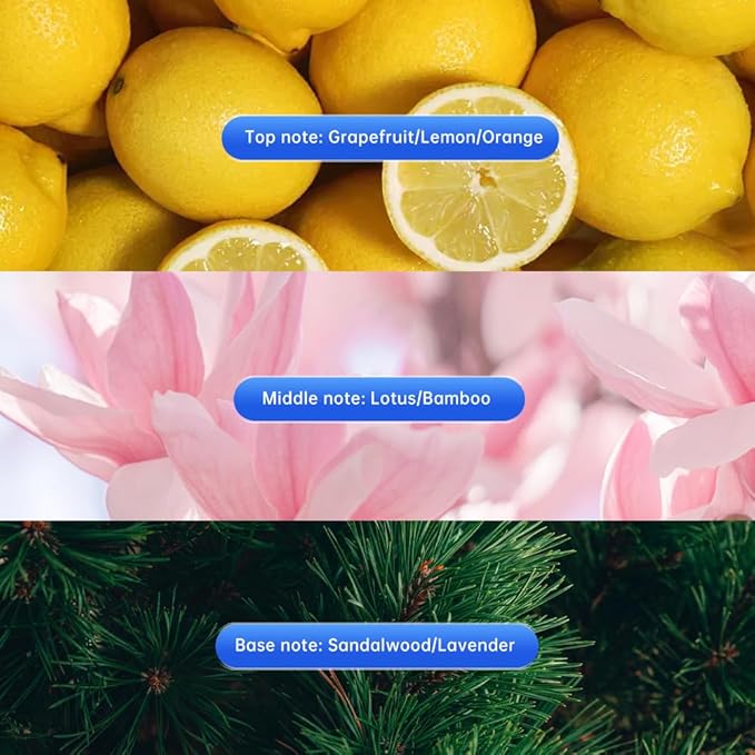 GLODWAY Car Air Freshener Spray Magnolia Scent 6 OZ Odor Eliminator4 Pack for Cars Trucks RVs Home