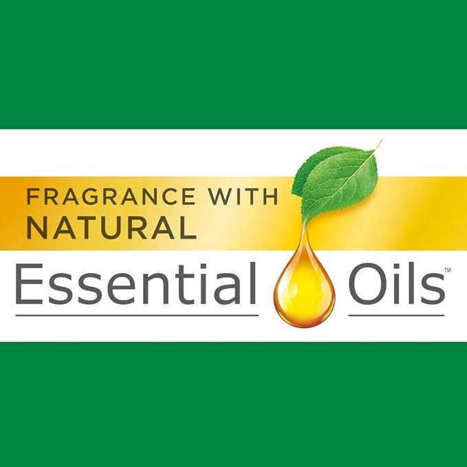 Air Wick Pure Freshmatic 6 Refills Automatic Spray Fresh Linen 6ct New Look Same familiar smell of Fresh Laundry Essential Oil Odor Neutralization Packaging May Vary 6.17 ounce (Pack of 6)