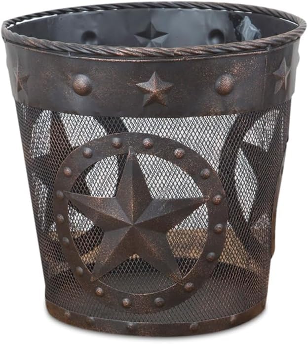 DeLeon Collections Western Star Rope Trim Metal Wastebasket